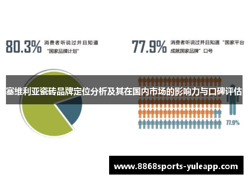 塞维利亚瓷砖品牌定位分析及其在国内市场的影响力与口碑评估
