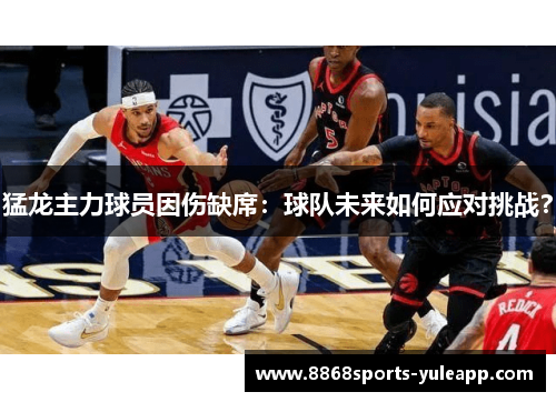 猛龙主力球员因伤缺席：球队未来如何应对挑战？