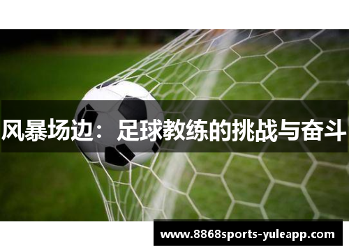 风暴场边：足球教练的挑战与奋斗