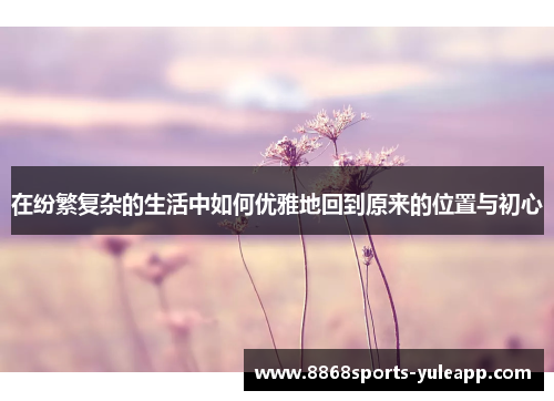 在纷繁复杂的生活中如何优雅地回到原来的位置与初心